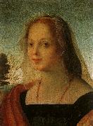 Rosso Fiorentino Portrait of a Young Woman USA oil painting artist